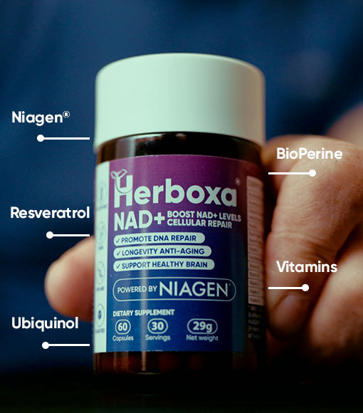 Herboxa NAD+ contains Niagen®, BioPerine, Resvaratrol, Ubiquinol, Vitamins