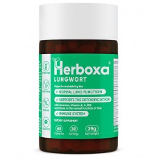  Lungwort 