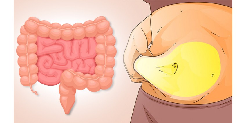 ¡LE SORPRENDERÁ! ¡Cómo una desintoxicación intestinal puede transformarle por completo!