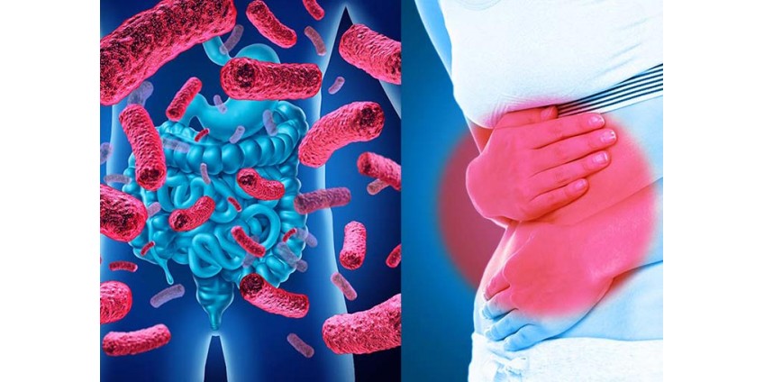 La verdad sobre la salud intestinal y el control del peso