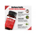 Herboxa Garlic | Suplemento para la salud cardíaca Herboxa Garlic | Suplemento para la salud cardíaca