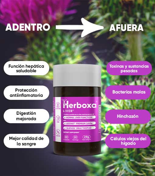 HERBOXA® LIVER