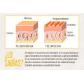 Herboxa Choco Collagen Complex Herboxa Choco Collagen Complex