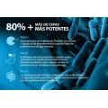 Herboxa Probiotic 60 Billion - 30 Comprimidos