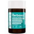 Herboxa Probiotic 60 Billion | Suplemento alimenticio  